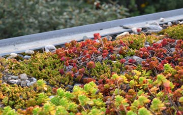 the cost of Binniehill green roof installation