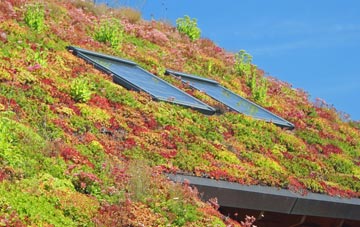 Binniehill living roof systems