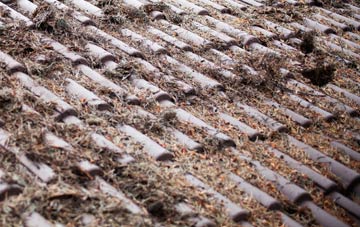 Binniehill roof cleaning companies