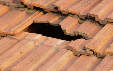 roof repair Binniehill, Falkirk