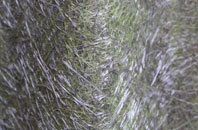 Binniehill fibreglass roof work